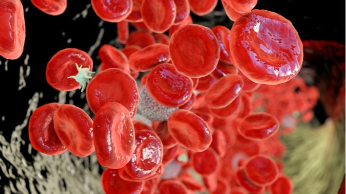 ריבוי כדוריות אדומות בדם, דבר הנוצר בקרב חולי פוליציטמיה ורה
