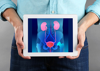 ערוץ האורולוגיה