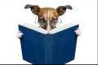 כמה חכם הכלב שלכם?