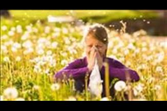 ה FDA אישר את התרופה Singulair לטיפול בקדחת השחת