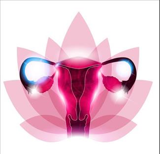 טיפול חדש יכול לרפא משחלות פוליציסטיות