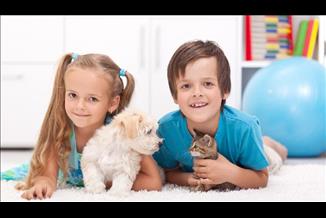 לגדול עם בעל חיים מפחית הסיכוי לאלרגיה? 6 מיתוסים –והאמת