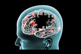 האם נמצא הגורם למחלה? כל מה שצריך לדעת על פרקינסון