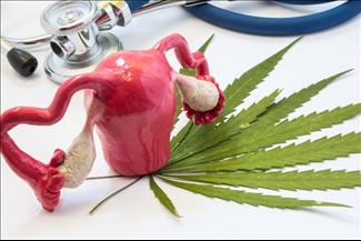 מתכננות הריון? כך קנאביס יכול להשפיע עליכן