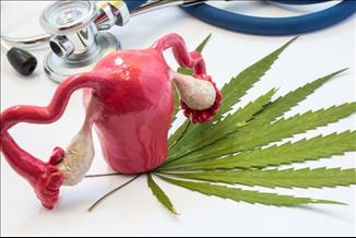 מתכננות הריון? כך קנאביס יכול להשפיע עליכן