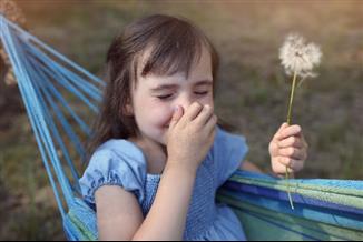 מפריחה ועד לעקיצות יתושים: 5 אלרגיות נפוצות בעונת הקיץ