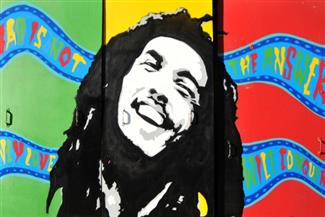 מג'ון מקיין ועד לבוב מארלי: מפורסמים שחלו במלנומה