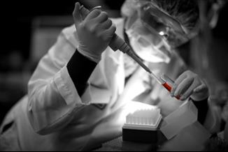 האבולוציה של הניסוי הקליני