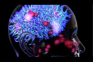 ראיות נוספות לכך שקוביד עלול להזיק למוח