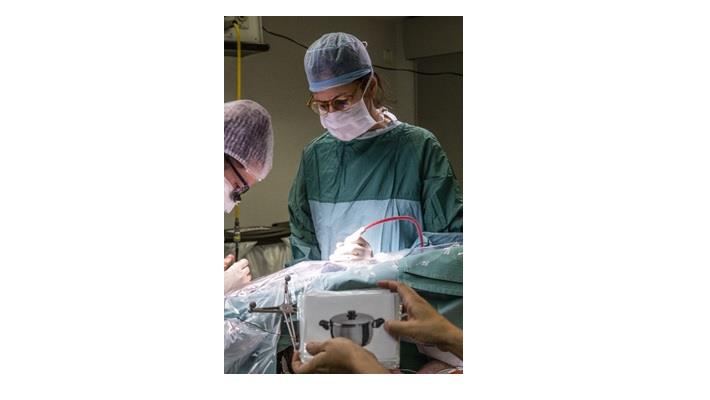 בדיקה נוירופסיכולוגית לזיהוי חפצים במהלך ניתוח מוח בערות