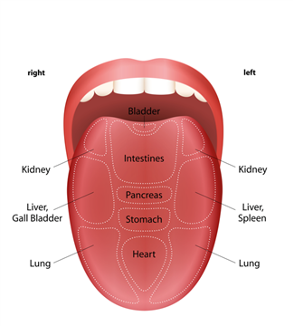 מה קורה כשמערכת העיכול שלנו יוצאת מאיזון ואיך מטפלים בזה?