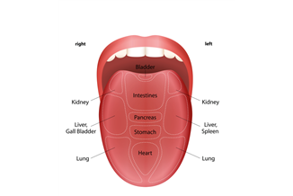 מה קורה כשמערכת העיכול שלנו יוצאת מאיזון ואיך מטפלים בזה?