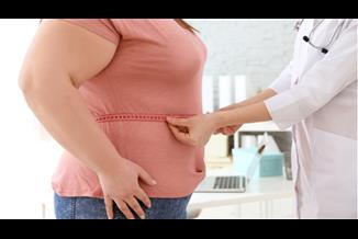 השמנה אינה בהכרח קשורה לכמות האוכל