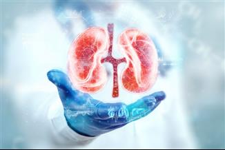 מצבים בריאותיים שמעלים את הסיכון למחלת כליות