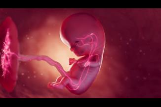 האם מום לב בעובר הוא בהכרח מסוכן?