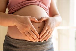 תרומת ביצית - ההליך, הסיכונים והאפשרויות הקיימות