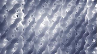 מה הקשר בין קולגן לתפקוד מיני תקין?