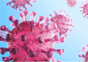 חיסון הרגעה לקורונה: התשובות ל-10 השאלות הכי מדאיגות